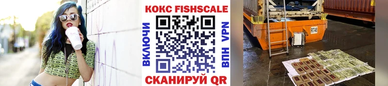 COCAIN Fish Scale  закладки  Уфа 
