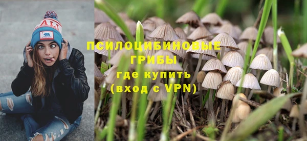 эйфоретик Алексин