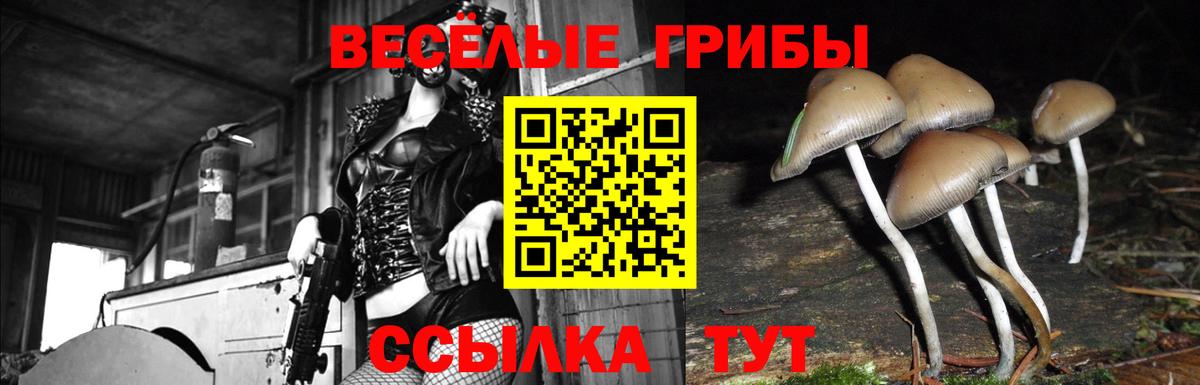 Галлюциногенные грибы мицелий Уфа